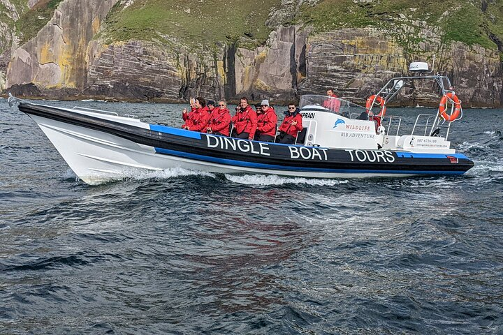 Dingle Boat Tours Wildlife RIB Adventure - Photo 1 of 10