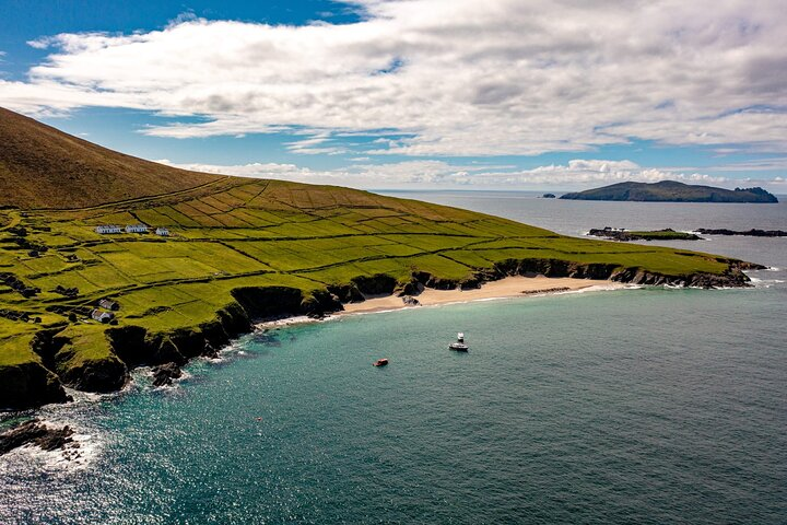 Dingle Dolphin Blasket Adventures - Photo 1 of 6