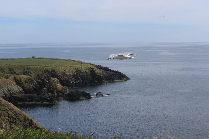 Copper Coast Waterford