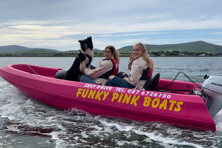 Funky Pink Self Drive Boats - Photo 1 of 6