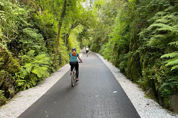 Guided Bike Ride: Exploring the Limerick Greenway - Photo 1 of 11