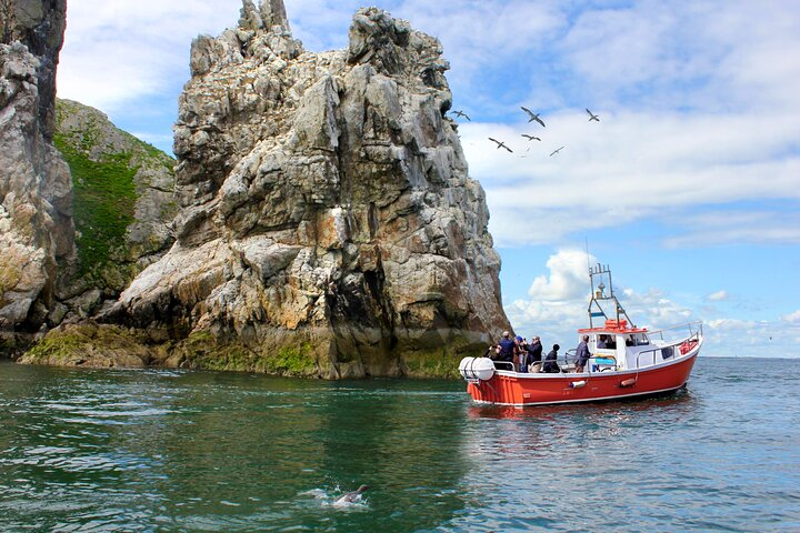 Howth Coastal 1 Hour Boat Tour (Ireland's Eye Ferries) - Photo 1 of 15