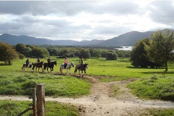 Killarney National Park Horseback Ride. Co Kerry. Guided. 1 hour. - Photo 1 of 8