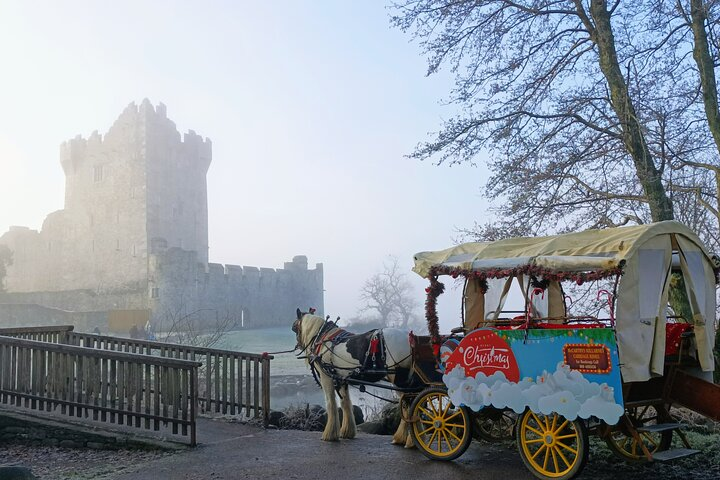 Killarney National Park Sleigh Ride - Photo 1 of 5