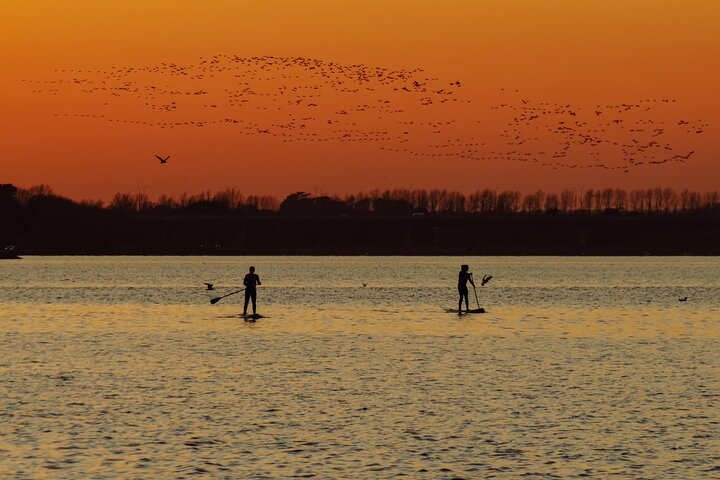 Paddleboarding experience in Malahide - Photo 1 of 7