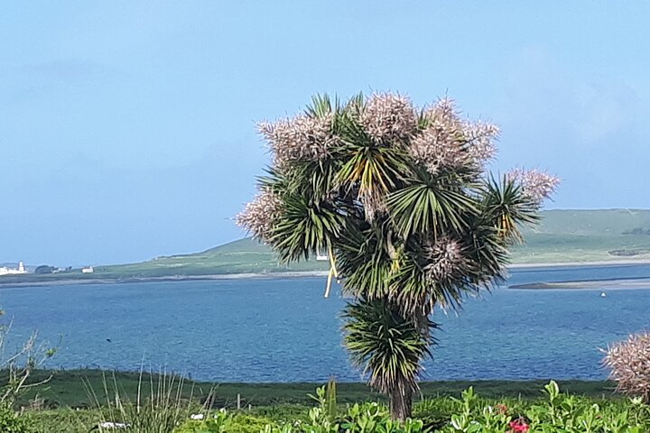 Ring of Kerry Private Tour - Photo 1 of 6