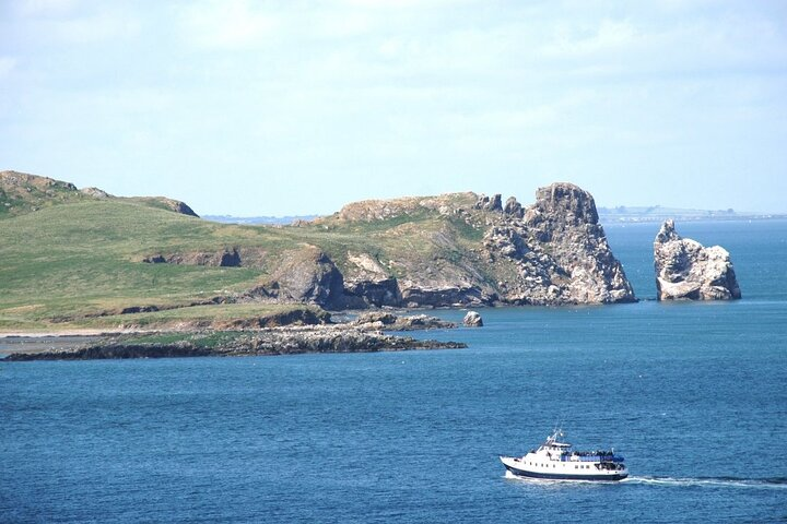 Roundtrip Cruise from Howth to Ireland's Eye Island - Photo 1 of 6