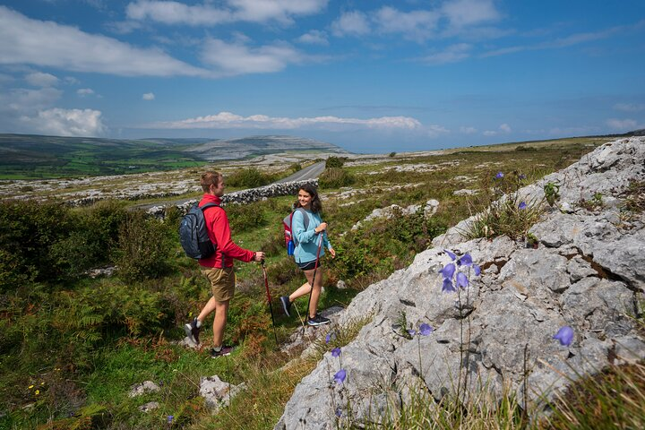 Spiritual walk in the Burren. Clare. Private guided. 4 hours. - Photo 1 of 8