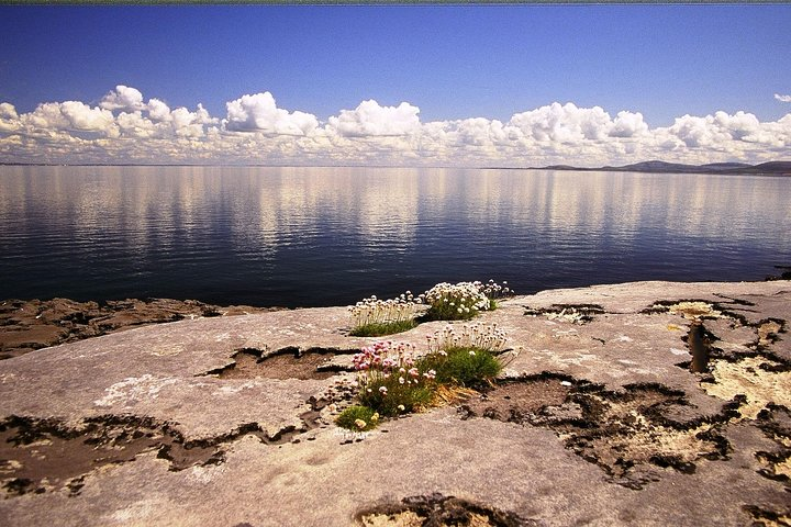 Stones & Stories Private Walk. Burren, Co Clare. Guided. 2 hours. - Photo 1 of 6