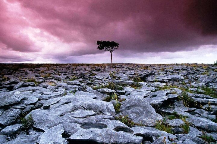 Walk in Burren National Park Clare. Guided. 4 hours. - Photo 1 of 6