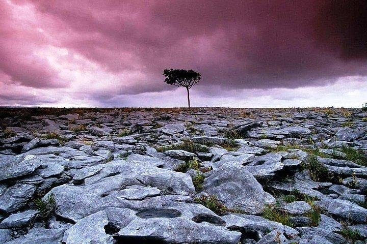 Walking in the unique Burren landscape & perfumery visit. Clare. Guided 4 hrs - Photo 1 of 6