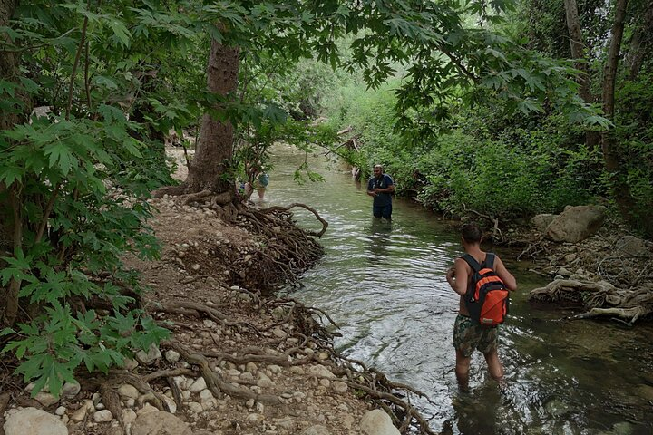 Kziv (Hardalit) Spring