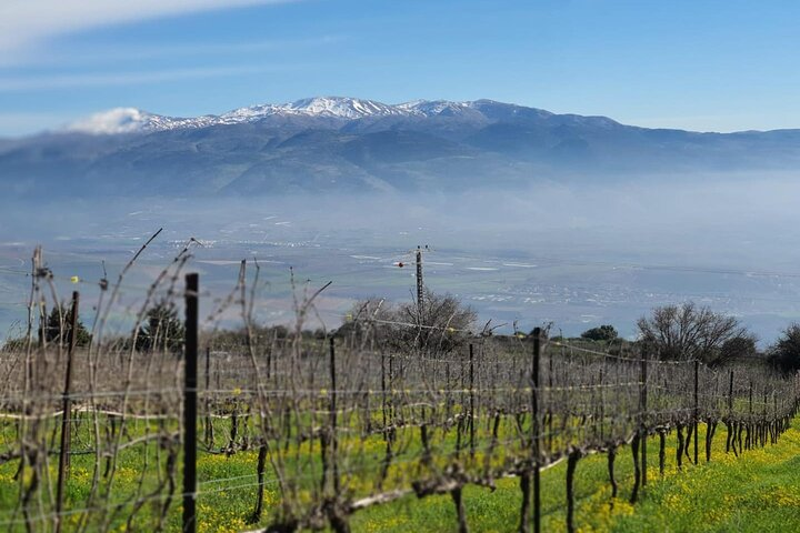 Full-Day Upper Galilee Wineries Tour With a Local Sommelier  - Photo 1 of 9