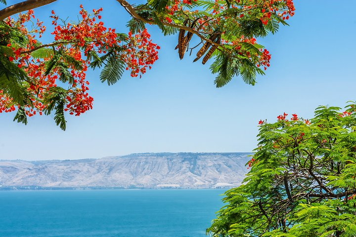 Sea of Galilee 