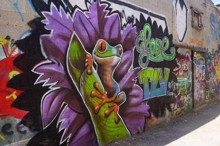 Tel Aviv Street Art & Graffiti Tour - Photo 1 of 15