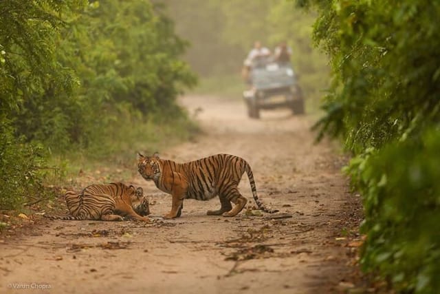 05 Days - Private Luxury Golden Triangle Tour with Ranthambore - Photo 1 of 18