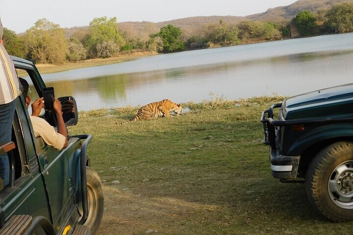 3-Hour Shared Safari in Ranthambore National Park - Photo 1 of 5