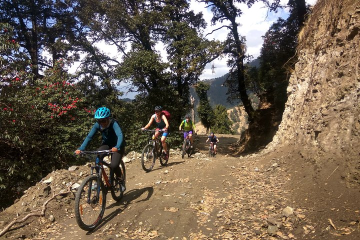 9-Day Himalaya Mountain Bike Tour from Shimla to Daramshala - Photo 1 of 11