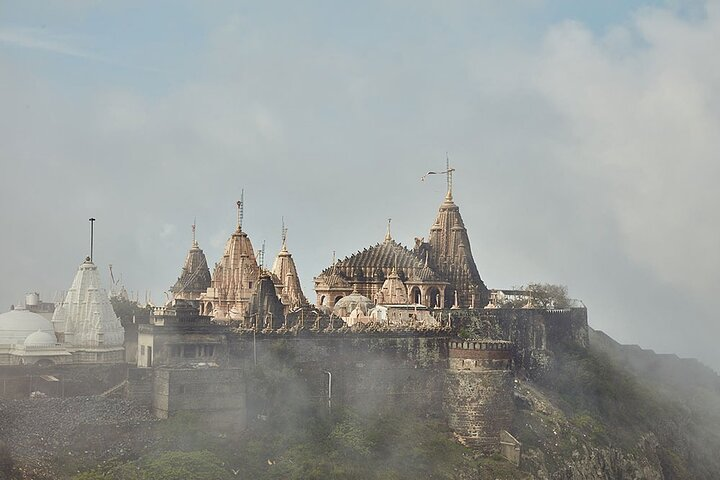  Across The Temples, Historical Sites & Wildlife of Gujarat - Photo 1 of 25