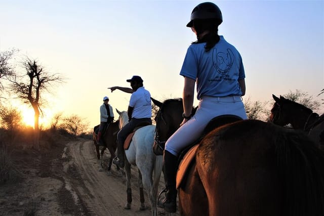 aravali-trail-experience-jungle-safari-forest-area-horseback-riding_1