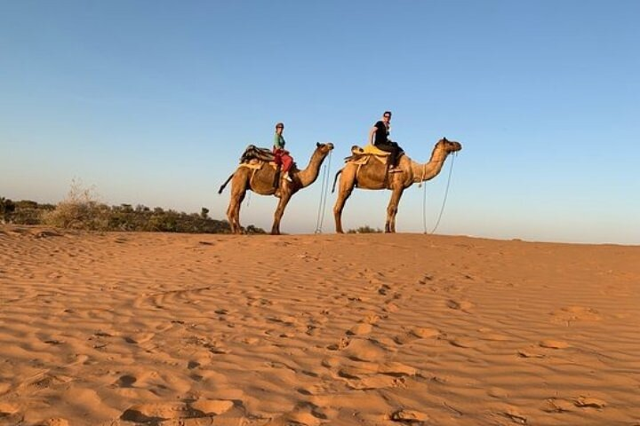 Camel Safari Day Trip From Jodhpur - Photo 1 of 6