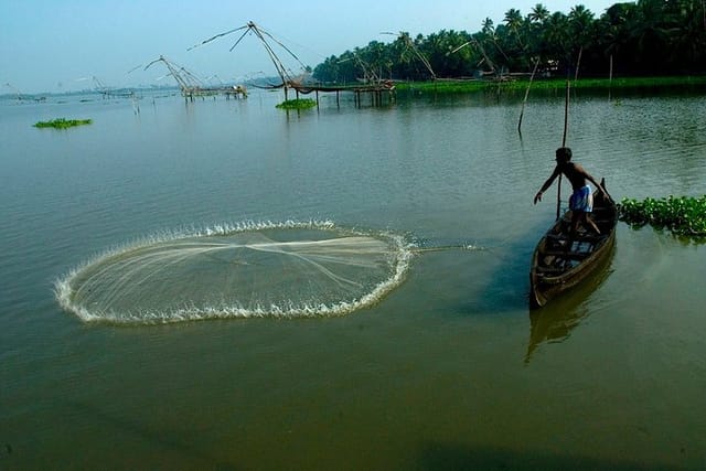 Cochin Shore excursions tour to Kumbalangy Village  - Photo 1 of 3