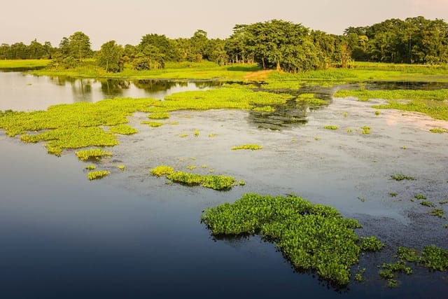 Day Trip to Majuli (Guided Private Tour from Guwahati) - Photo 1 of 6