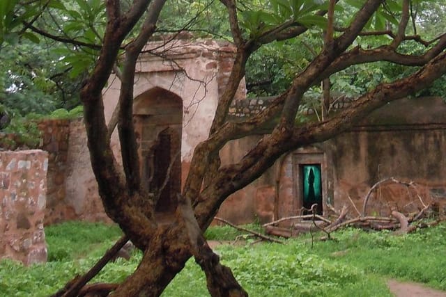 Delhi Haunted and Creepy Ruins Discovery - Photo 1 of 7