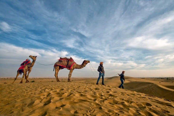 Desert Camel Safari Day Tour In Jodhpur  - Photo 1 of 6