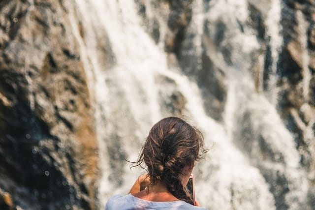 Dudhsagar waterfall wildlife & spice plantation Tour in Goa - Photo 1 of 7