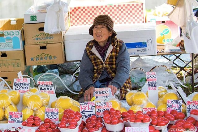 Experience the energy of Kochi: Sunday Market Tour includes Kochi Castle - Photo 1 of 9