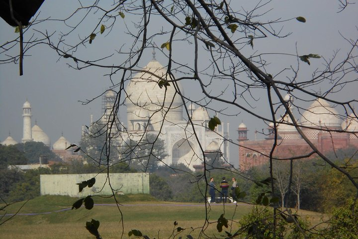 Taj in Natures' Lap