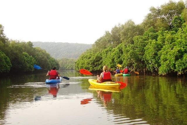 Cool and peaceful in the mangroves!