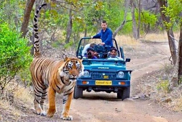 Ranthambore National Park