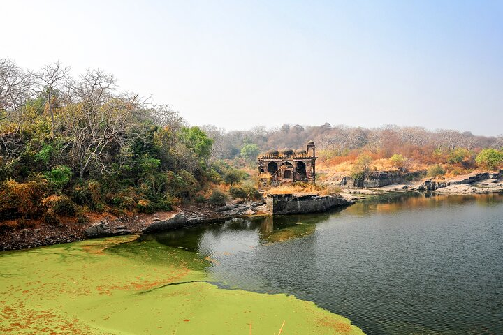 Half Day Private Trekking Tour to the Ranthambore Fort - Photo 1 of 4