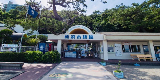 katsurahama-aquarium-ticket-kochi-prefecture_1