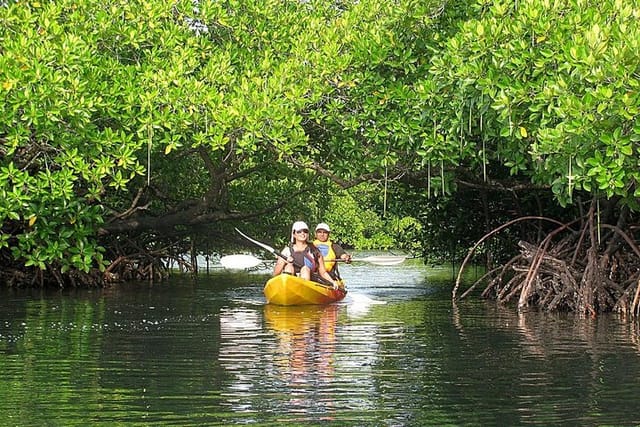 Kayaking Mangrove Adventure at Havelock - Photo 1 of 2