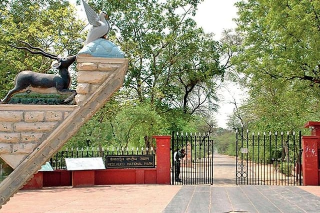 Keoladeo National Park, Bharatpur