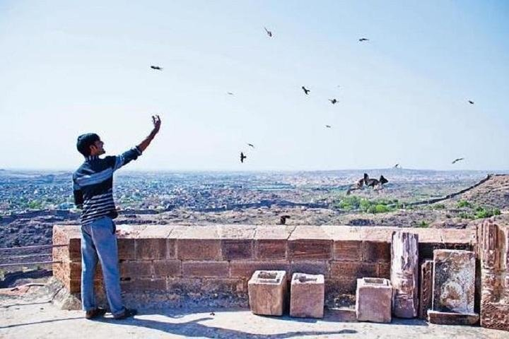 Kite Feeding Experience at Mehrangarh Fort, Jodhpur - Photo 1 of 9