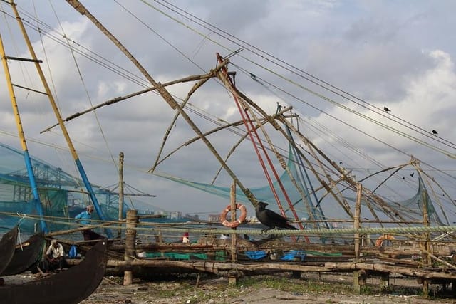 Chinese Fishing Nets