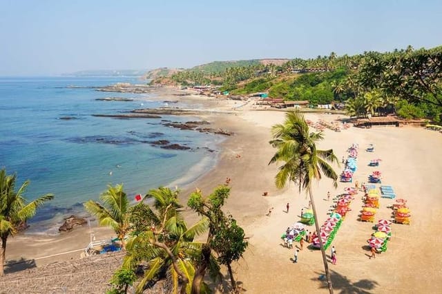 local-tour-of-goa_1