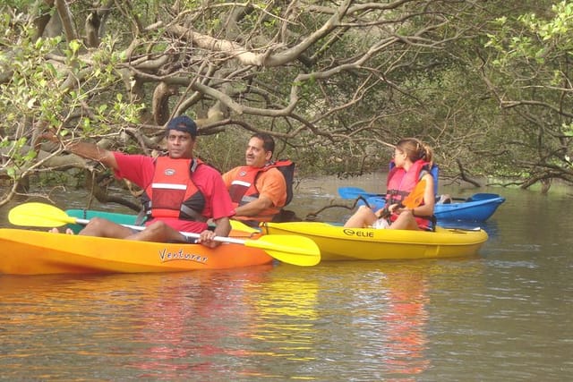 Deep in the tangle! (mangroves)