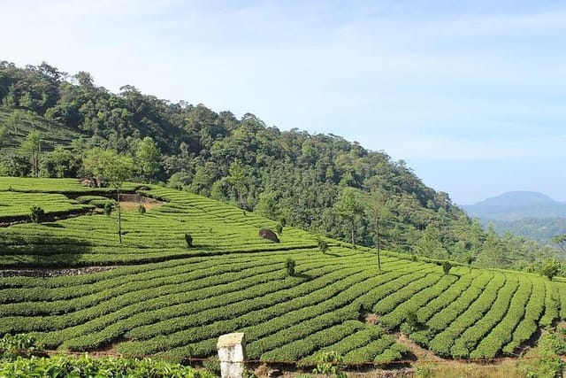 Munnar