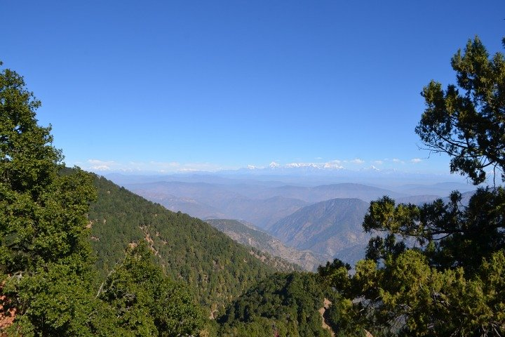 Nainital Nature Trekking Experience (4 Hours guided experience)  - Photo 1 of 7