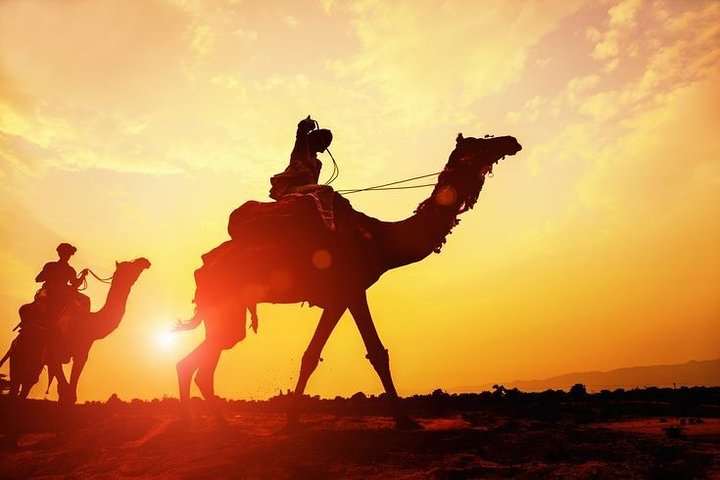 Osian Desert Camel Safari - Photo 1 of 3