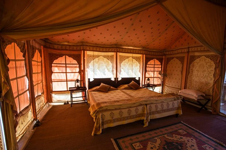 Overnight Camping With Camel Safari In Jodhpur - Photo 1 of 6