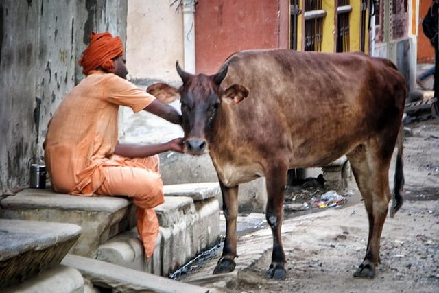 Photo Tour In Holy Varanasi  - Photo 1 of 25