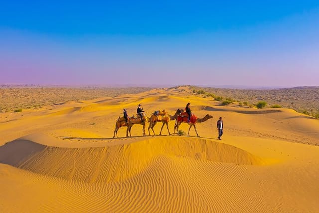 Pleasant Non-Touristic Overnight Camel Safari (From 2:00 PM to Approx. 10:30AM) - Photo 1 of 25