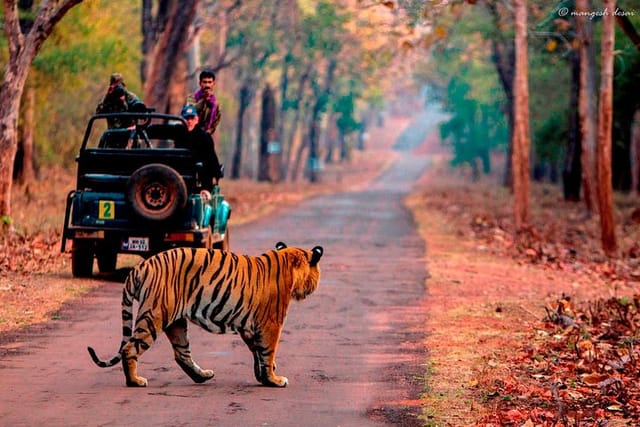 Ranthambore Visit