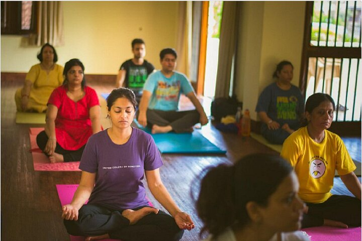 Private Yoga Class in Jodhpur with Meal - Photo 1 of 9